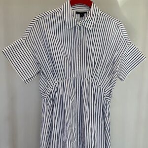 Victoria Beckham for Target- Blue and White Striped Shirt Dress